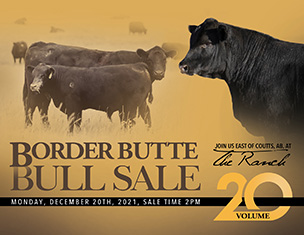 2021 Border Butte Angus Bull Sale